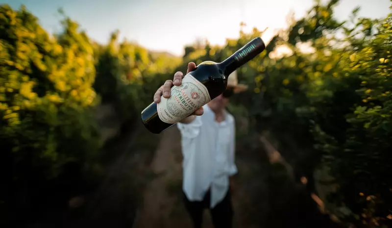 4 Vinhos Carmenère do Chile para Aquecer seu Inverno com Sabor e Elegância