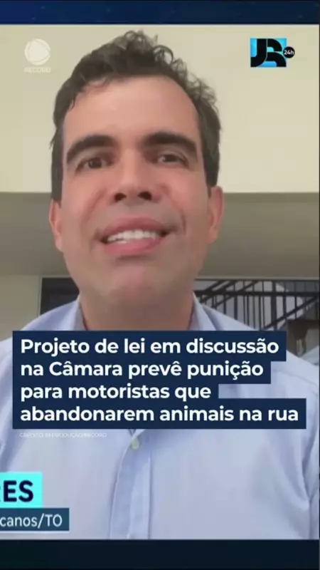Abandono de animais pode virar crime: projeto de lei prevê punições severas