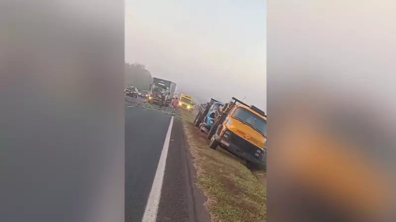 Acidente entre caminhões causa lentidão na BR-050 em Uberlândia