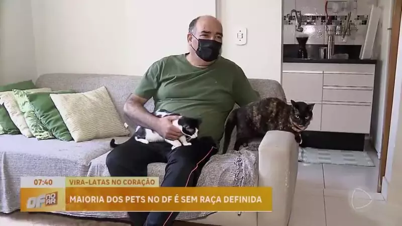 Adoção de vira-latas dispara no Brasil: veja os nomes mais populares para pets sem raça definida