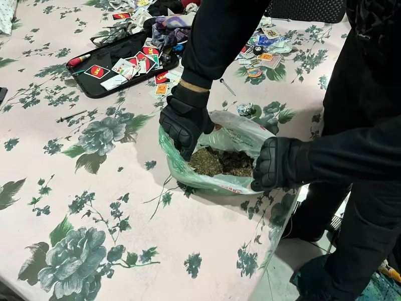 Advogada dona de empresa de fachada é alvo de operação contra tráfico de drogas e homicídios em MT