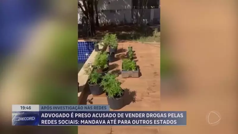 Advogado é preso no DF por suspeita de tráfico de drogas nas redes sociais: veja detalhes