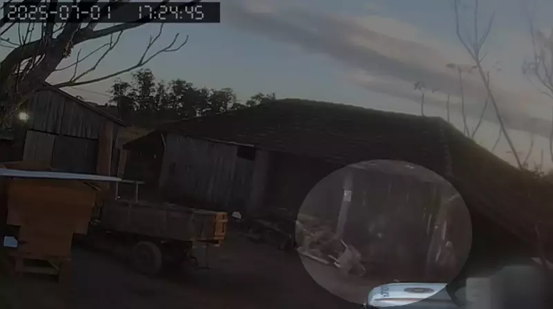 Agricultor é morto em abordagem da BM após denúncia de crime ambiental no RS: Polícia Civil investiga legítima defesa