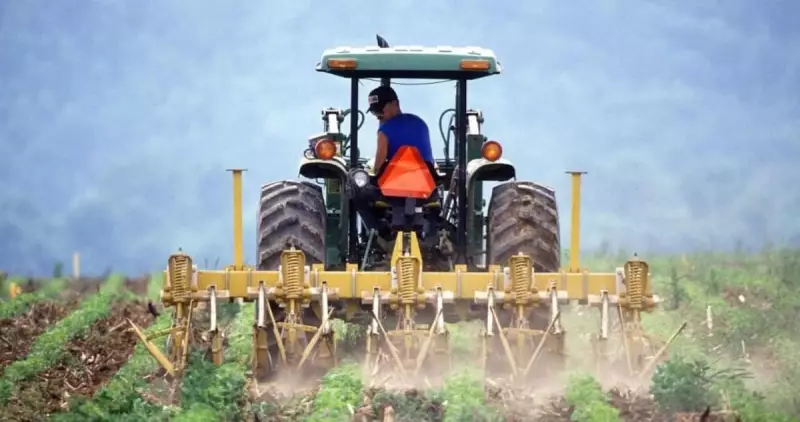 Agronegócio em alerta: setor produtivo pode enfrentar desaceleração a partir de agosto
