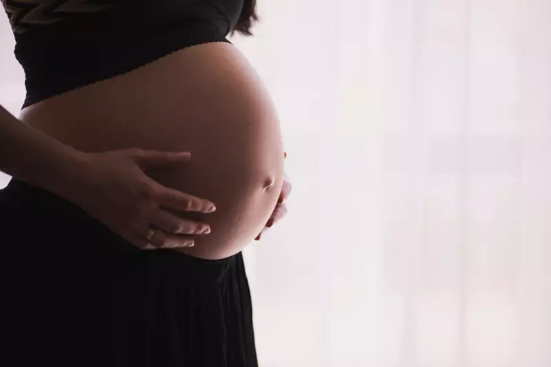 Alerta chocante: microplásticos invadem placenta e cordão umbilical de gestantes, revela estudo brasileiro
