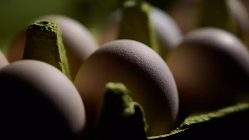 Alerta na Cozinha: Como se Proteger de Doenças Ocultas nos Alimentos do Dia a Dia