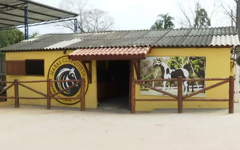 Alerta no Sul de Minas: ração contaminada já matou mais de 15 animais — saiba como proteger seu bicho