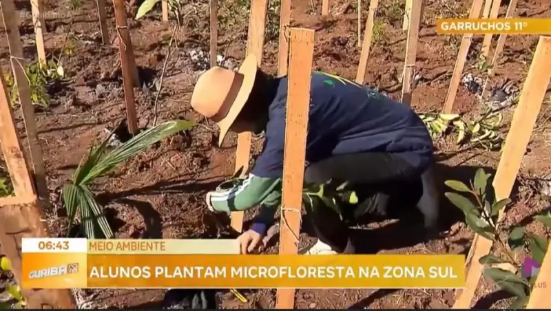 Alunos de Porto Alegre plantam 320 árvores para combater mudanças climáticas
