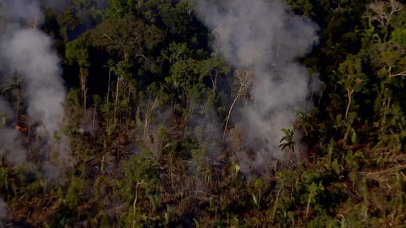 Amazonas registra queda de 67% nos focos de calor no primeiro semestre de 2025