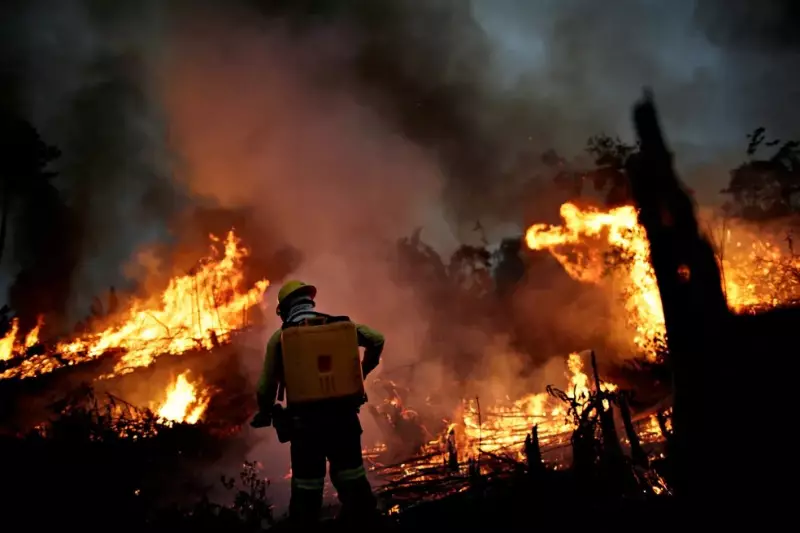 Amazonas registra queda no desmatamento e focos de calor em junho: bons sinais para a floresta