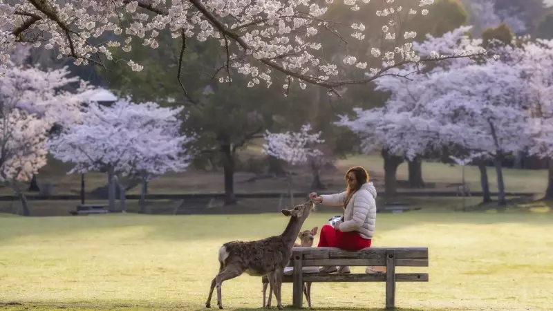 Animais de estimação: os favoritos da ciência para melhorar nossa qualidade de vida