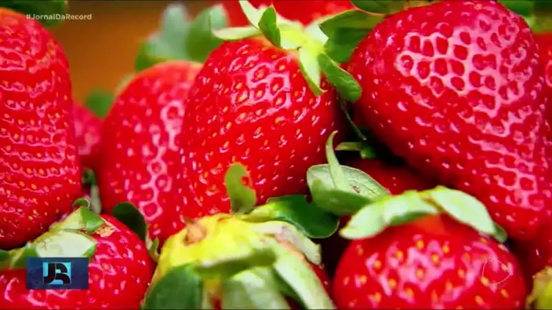 Anvisa suspende venda de alimentos por irregularidades: veja quais produtos foram afetados