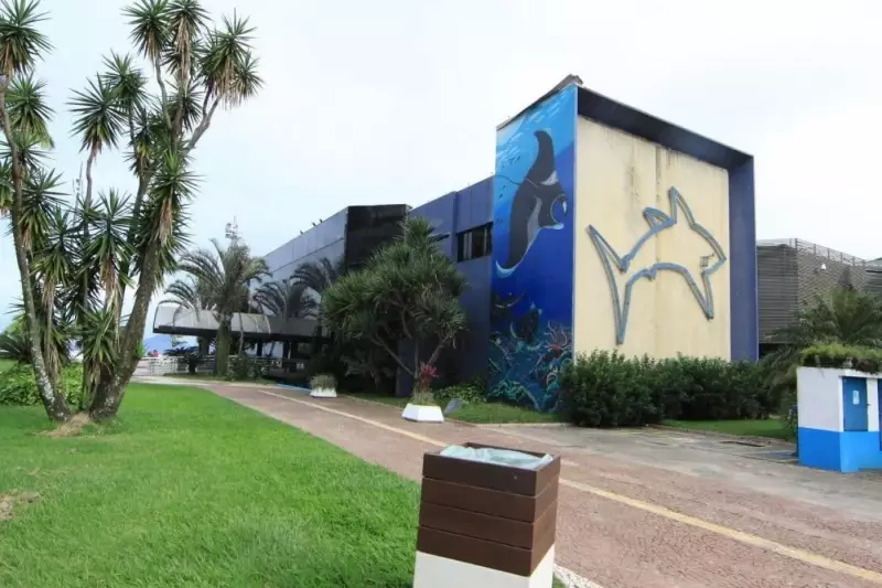 Aquário de Santos celebra 80 anos com festa imperdível: confira atrações e horários