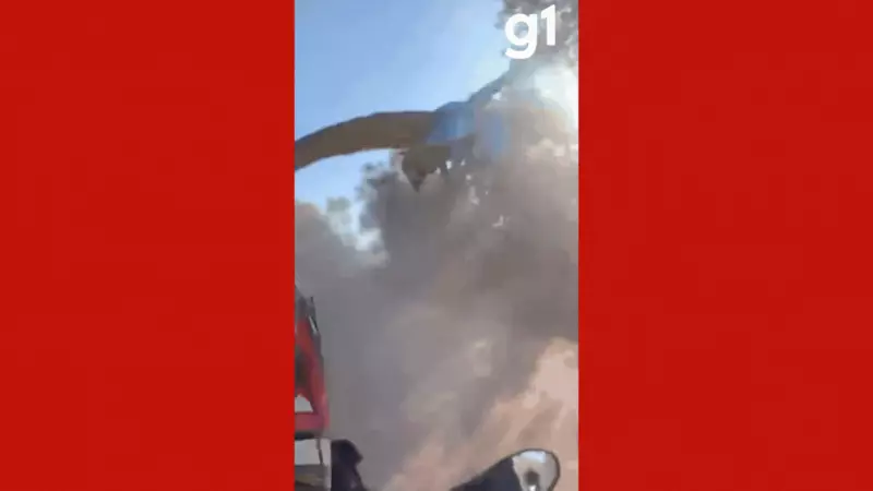Arara-caninde faz sucesso ao pegar carona em veículos em estrada de MT — Veja o vídeo!
