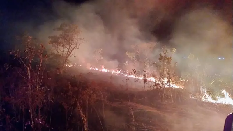 Área de preservação em MT é alvo de incêndios criminosos duas vezes em menos de um dia — veja o estrago