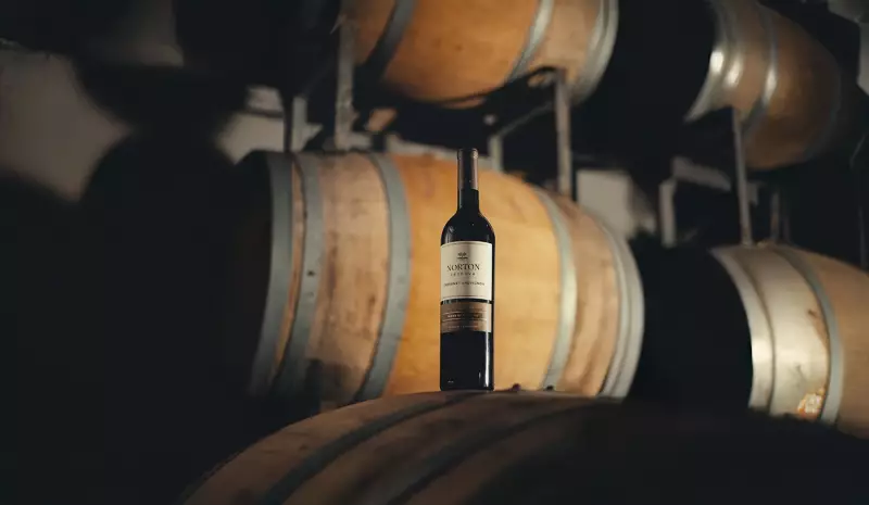 Argentina não é só Malbec: Descubra os incríveis vinhos de Cabernet Sauvignon do país