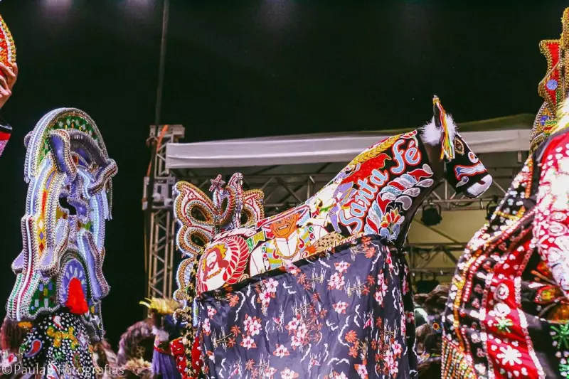 Arraial do IPEM promove noite de festa com Boi Novilho Branco, Boi de Santa Fé e Mayara Lins nesta terça (8)