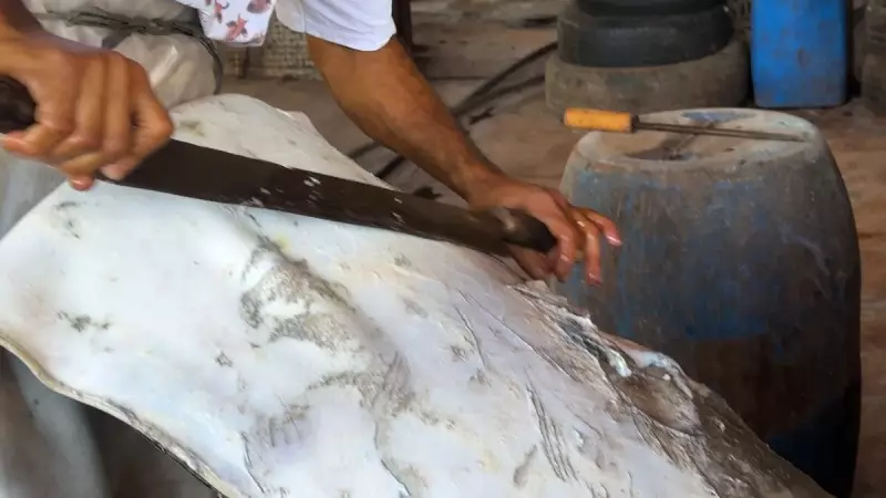 Artesão de Uberaba (MG) luta para preservar o curtimento artesanal do couro