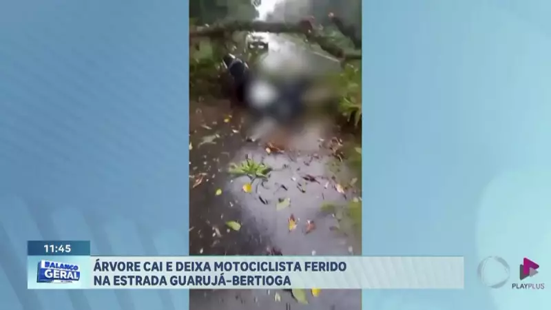 Árvore cai sobre motociclista em rodovia de Guarujá, SP: veja detalhes do acidente