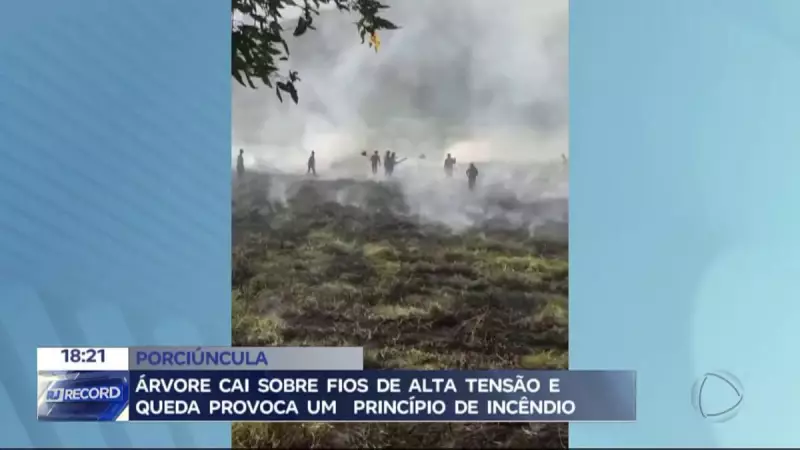 Árvore desaba sobre rede elétrica e quase causa tragédia em Porciúncula (RJ)