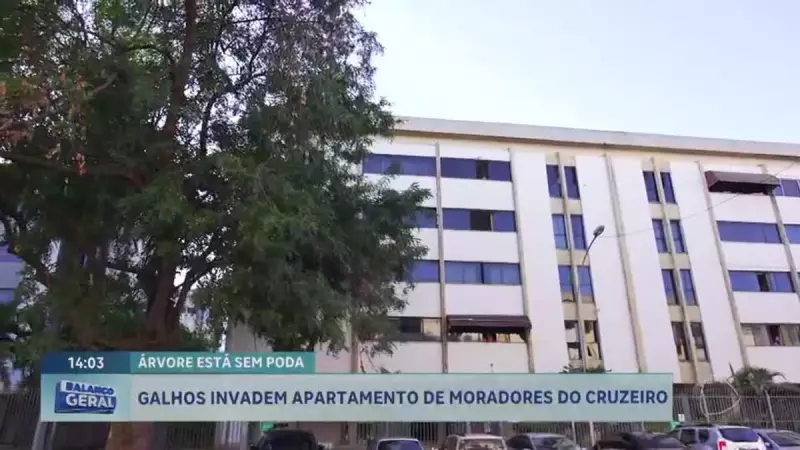 Árvore sem poda invade prédio no Cruzeiro e Novacap não se manifesta — Moradores em alerta!