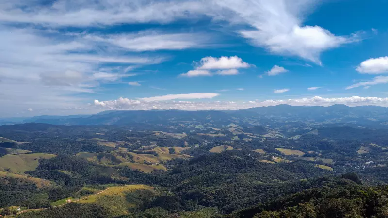 As Sommeliers que Transformam Geografia em Taças de Vinho: Conheça a Arte por Trás da Carta