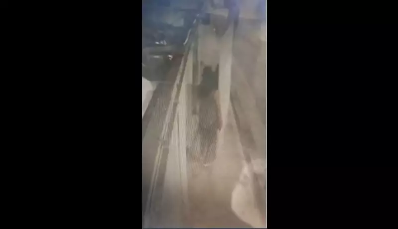 Assaltantes são filmados roubando portão de residência no Grande Recife; veja o vídeo chocante