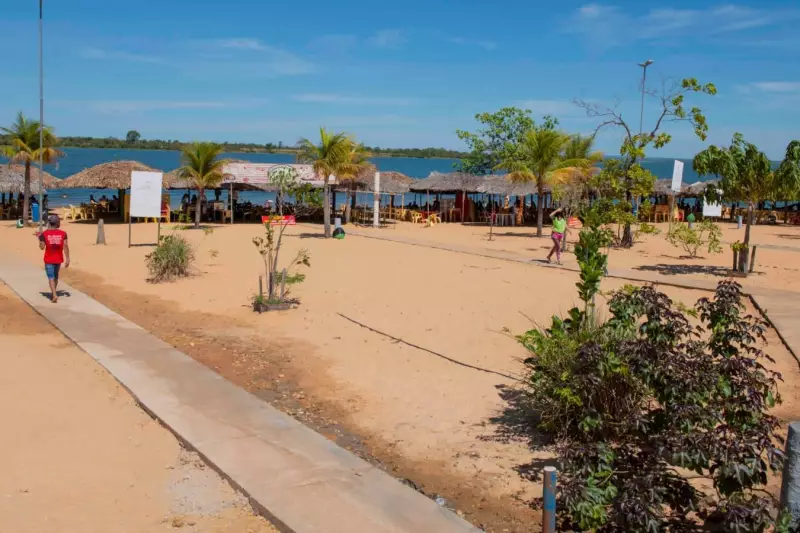 Ataques de piranhas em praia de Palmas: bombeiros alertam banhistas e dão dicas de segurança