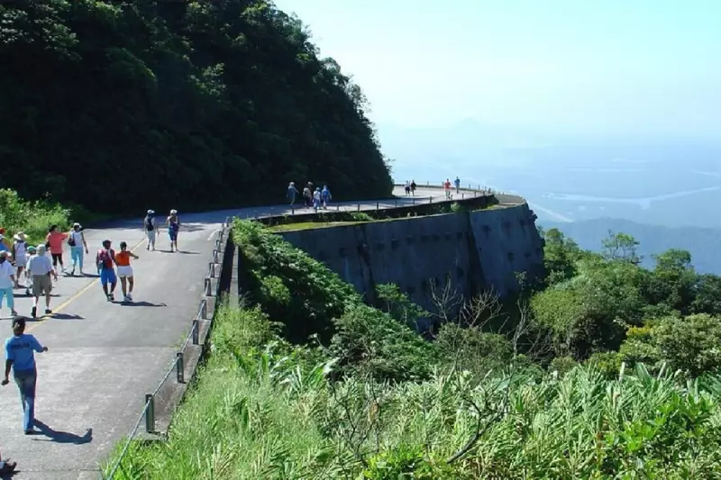 Aventura nas Férias: Parque na Mata Atlântica Oferece Tirolesa e 70% de Desconto em Julho