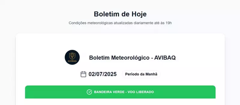 Balão de Praia Grande retoma voos após análise das condições climáticas