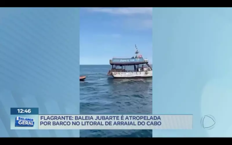 Baleia jubarte é atropelada por barco em Arraial do Cabo: tragédia ambiental choca RJ