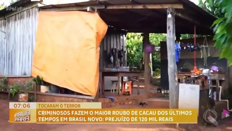 Bandidos sequestram vítimas e roubam 2 toneladas de cacau no Pará — veja detalhes