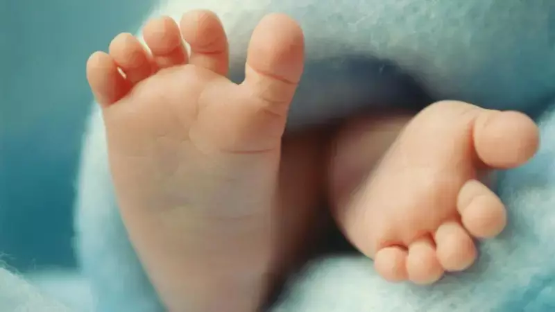Bebês com DNA de três pais nascem livres de doenças hereditárias: avanço científico no Brasil