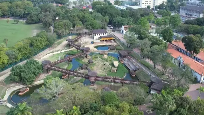 Bioparque do Rio fecha novamente após morte de aves: entenda o caso