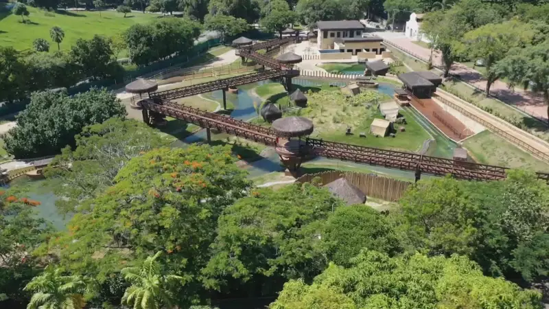 Bioparque do Rio fecha novamente após morte misteriosa de aves — o que está acontecendo?