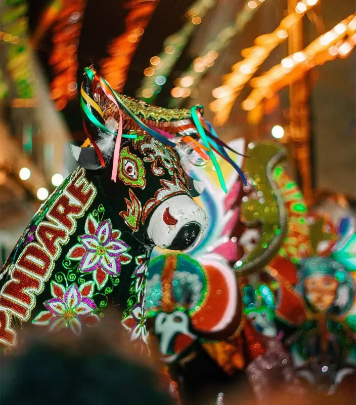 Boi Brilho da Terra e Boi de Pindaré animam o Arraial do IPEM em São João