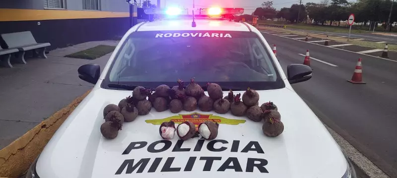 Boliviano é preso com 7 kg de cocaína escondidos em beterraba em Presidente Bernardes