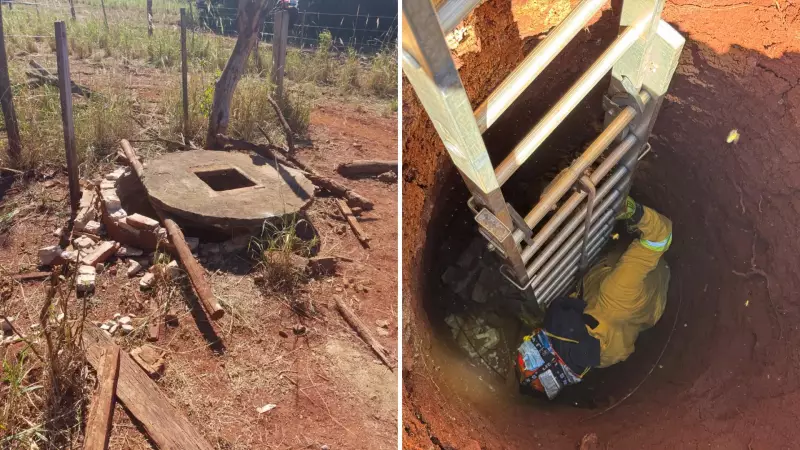 Bombeiros buscam corpo de estudante trans desaparecida há mais de um mês em Ilha Solteira