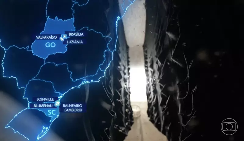 Brasil dá um salto na saúde pública: maior biofábrica de mosquitos do mundo é inaugurada para combater dengue e outras doenças