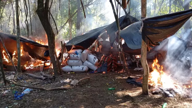 Brasil e Paraguai destroem mais de 1 milhão de quilos de maconha em operação na fronteira