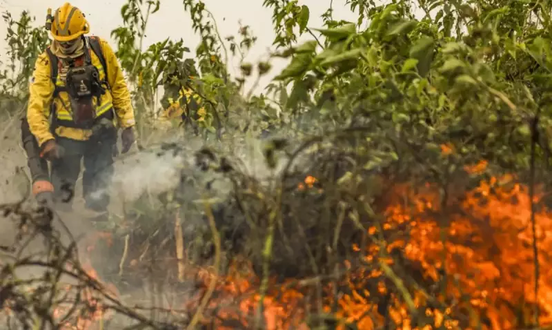 Brasil registra menor número de focos de calor desde 2018: queda de 65,8% nas áreas queimadas