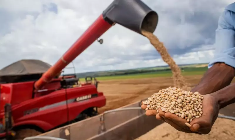 BRICS apoia criação de bolsa de grãos para estabilizar preços dos alimentos e reduzir riscos globais