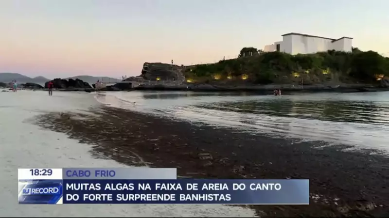 Cabo Frio: Praia do Canto é tomada por algas e surpreende turistas no RJ