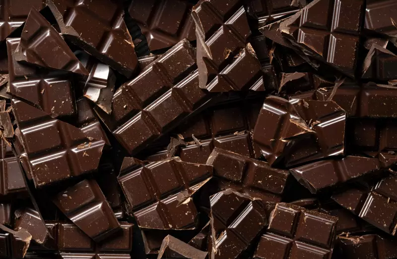 Cacau no Cerrado: O desafio climático que pode revolucionar a produção de chocolate no DF