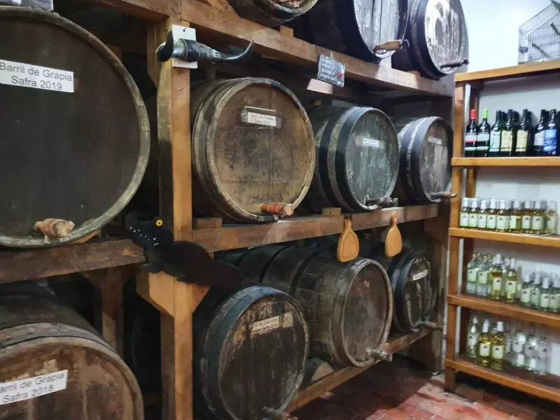 Cachaça de SC dispara no ranking nacional: saiba como o estado virou potência da bebida