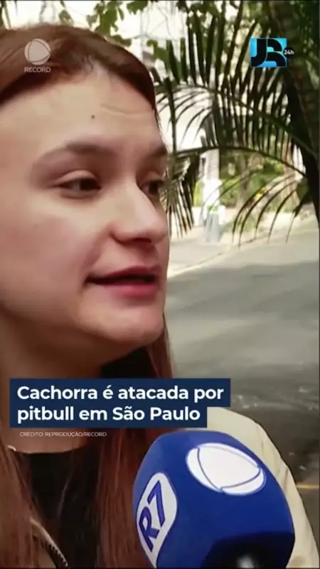 Cachorra é atacada por Pitbull em São Paulo: Veja o vídeo chocante