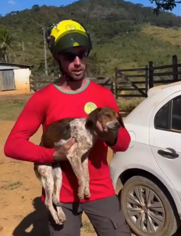 Cachorra é resgatada de pedreira de 50 metros após 3 dias de buscas com drones e rapel em MG