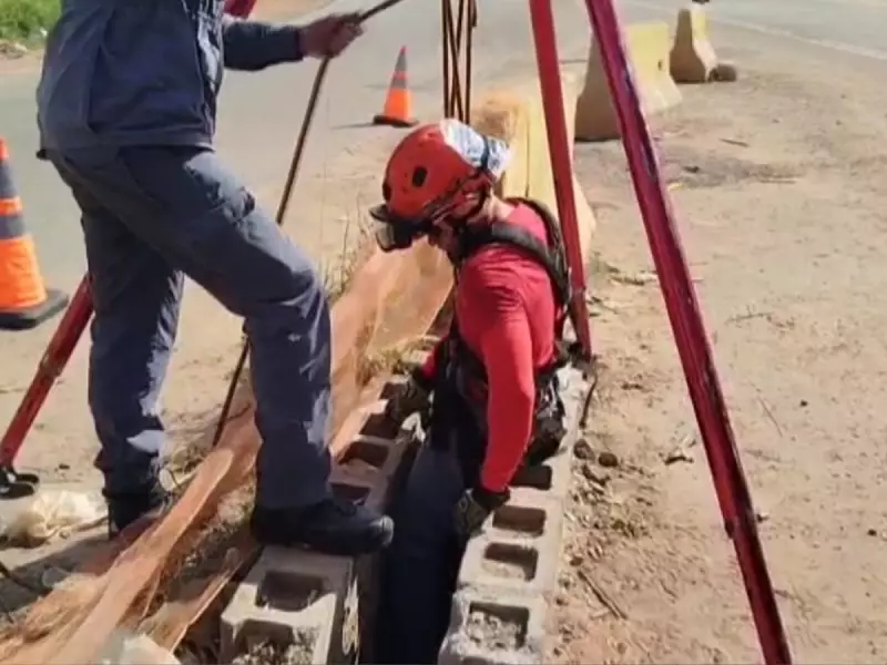 Cachorro é resgatado por bombeiros após cair em buraco em Campinas — veja o vídeo emocionante!