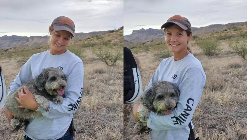 Cachorro fica dias ao lado do dono morto e emociona em resgate comovente