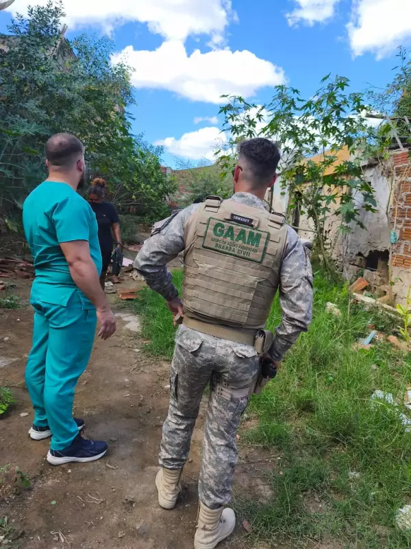 Cães resgatados em Caruaru: 10 salvos, 5 mortos em caso chocante de maus-tratos